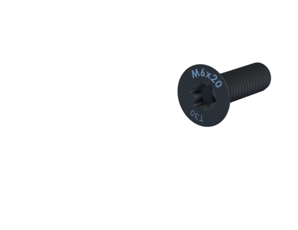 ENSIS MANIAC Screws M6