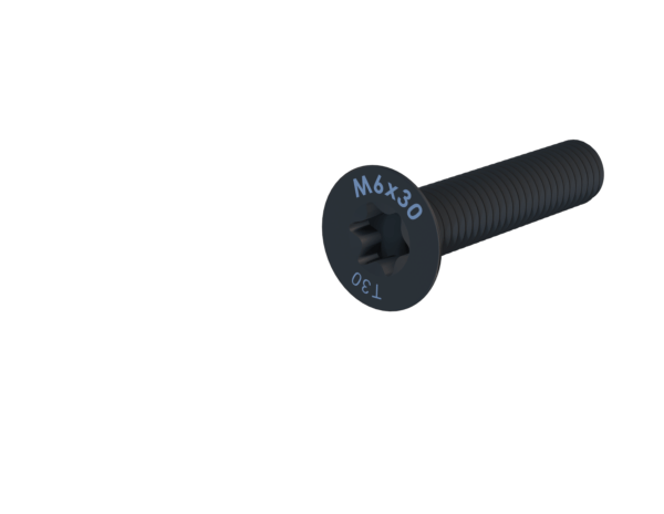 ENSIS MANIAC Screws M6<br><small>Countersunk A2-70/ Torx30</small>