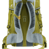 Trans Alpine 24