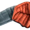 Astro Pro 600