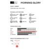Amplid Morning Glory2024