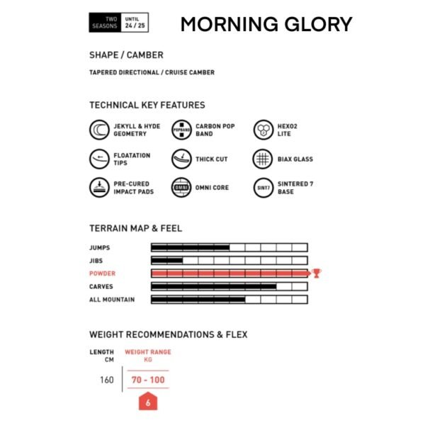Amplid Morning Glory2024