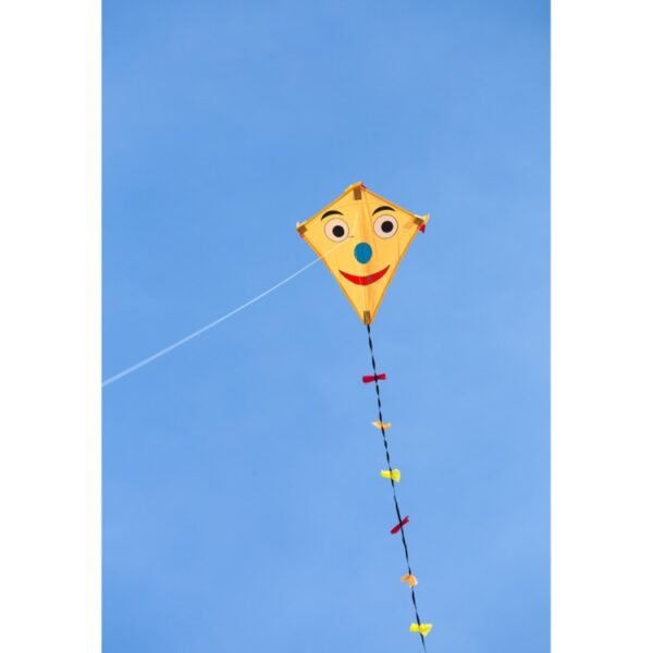 Eddy Happy Face